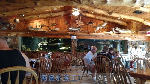 新手養魚入門 從看懂水質開始，告別“買魚死魚循環”