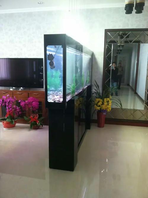 百晶坊專業水族定制工廠 匠心獨運，打造夢幻水下世界