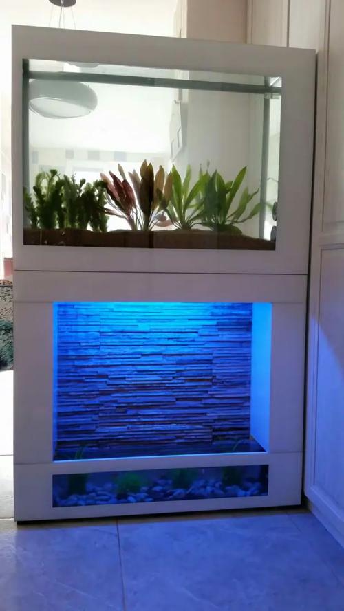 百晶坊專業水族定制工廠——打造專屬水下生態世界