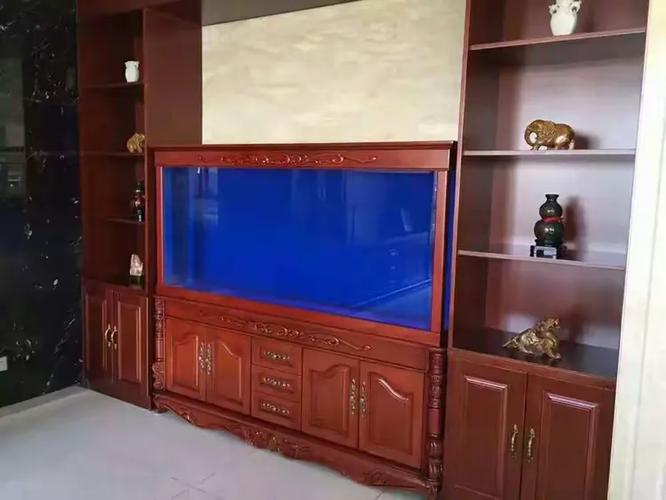 百晶坊專業水族定制工廠 匠心打造水下空間，BD宏與您共筑品質水族