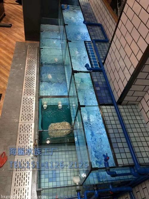 沅陵縣超市魚缸上門定做優選海鯊水族工廠 專業定制生鮮店與海鮮魚缸的信賴之選