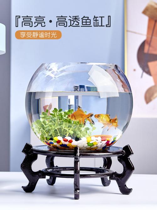 圓水族箱 從廠家、品牌到熱帖，一篇搞懂選購與風水、養(yǎng)魚門道
